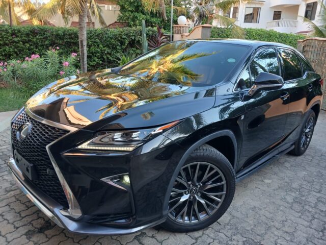 2019 Lexus RX300