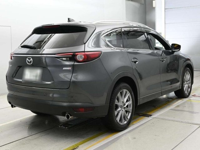 2019 Mazda CX-8 Premium Edition — photo 2